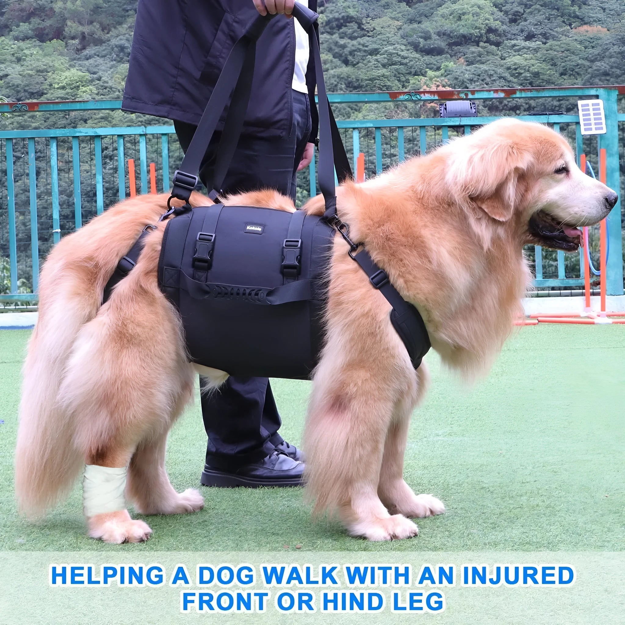 Black Oxford cloth dog harness shown on a dog, highlighting the chest strap and sizing options.
