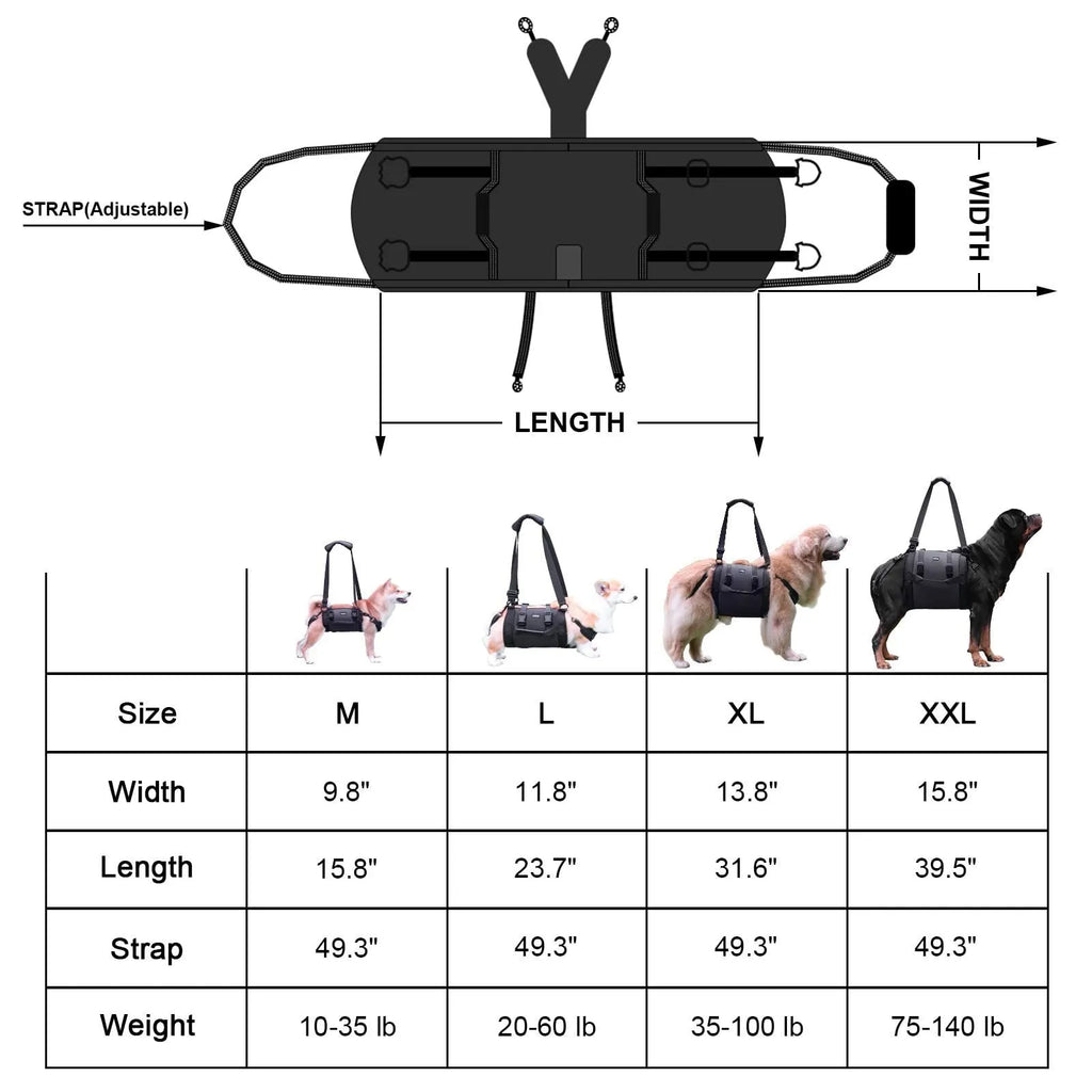 Black Oxford cloth dog harness shown on a dog, highlighting the chest strap and sizing options.