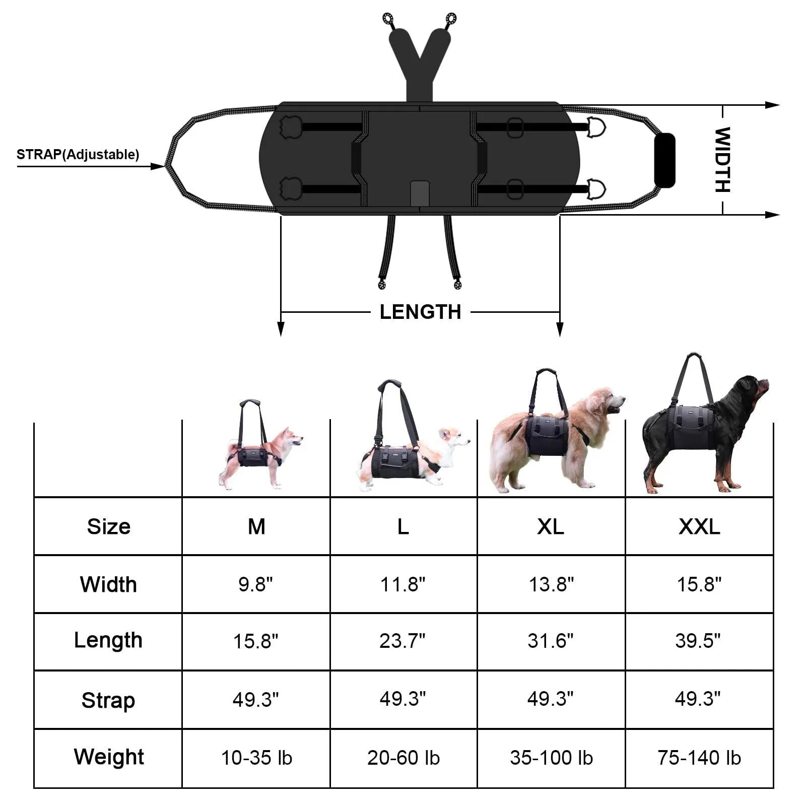 Black Oxford cloth dog harness shown on a dog, highlighting the chest strap and sizing options.