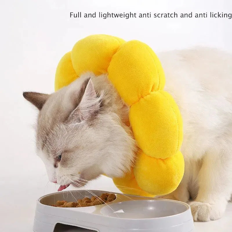 Soft cotton pet recovery Elizabethan collar with adjustable band on a cat.