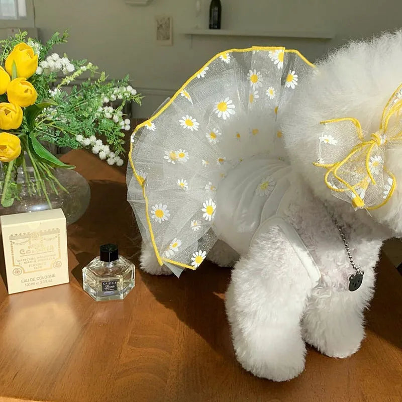 Yellow daisy print summer dog clothes for small to large breeds on pet mannequin