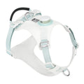 Nylon dog chest harness with built-in LED light in multiple colour options on size chart.