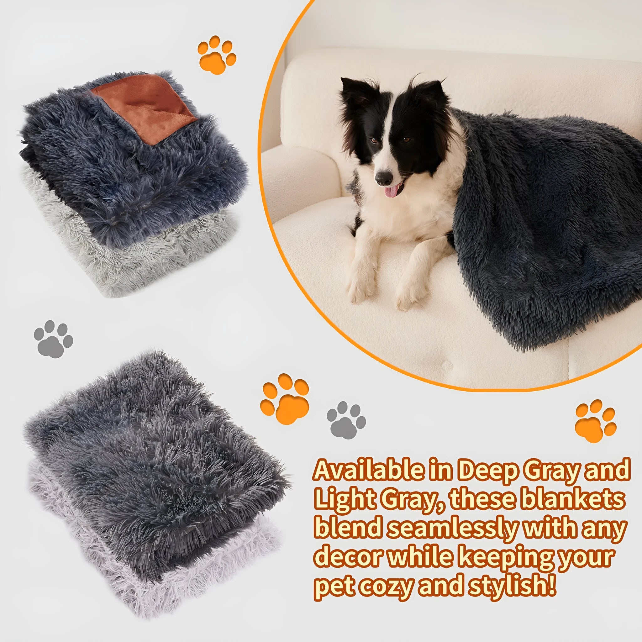 Light grey velvet plush pet blanket shown on a sofa, with a small dog lying on it.