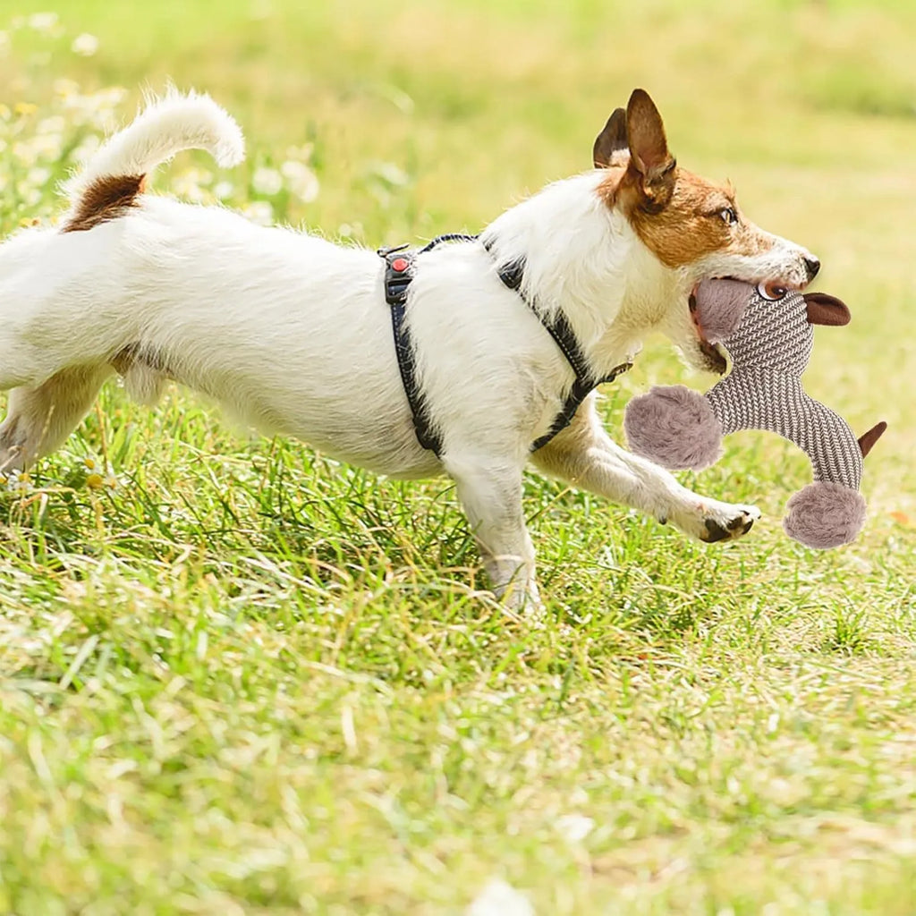 Soft plush dog squeaky toy in monkey and puppy designs for medium and large breed dogs.