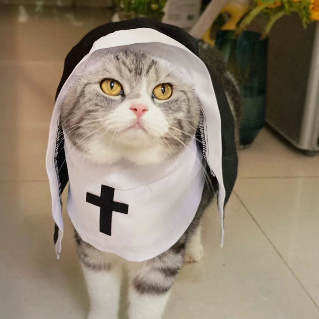 Black and white nun costume cloak for a small dog on Halloween