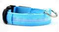 Nylon LED dog collar glowing blue on a black background, with adjustable buckle and four light modes for pet night safety