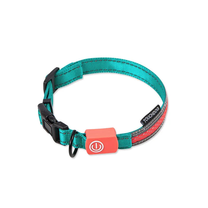 LED dog leash in nylon for medium dogs, colour as shown, with built-in light