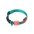 LED dog leash in nylon for medium dogs, colour as shown, with built-in light