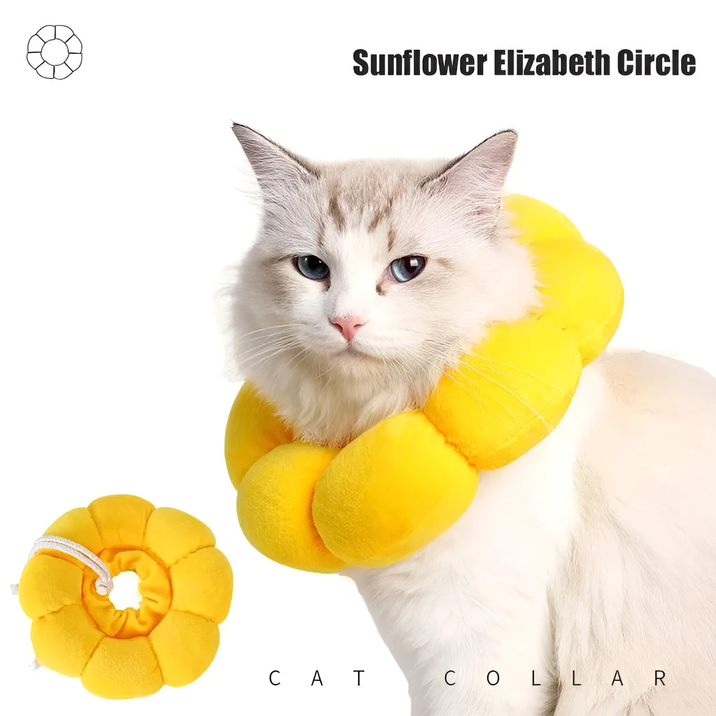 Soft cotton pet recovery Elizabethan collar with adjustable band on a cat.