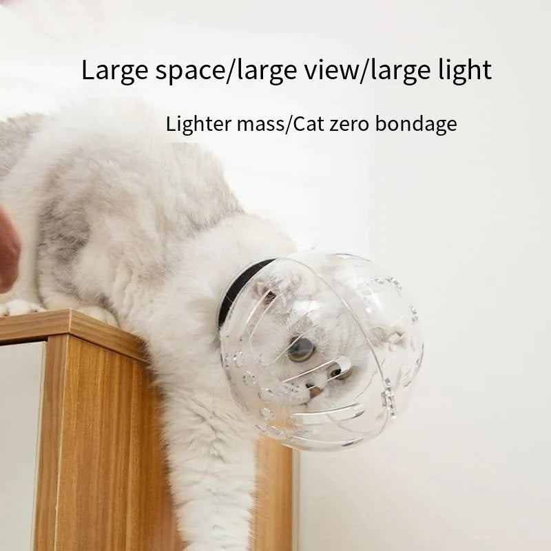 Transparent plastic cat muzzle hood with adjustable Velcro strap shown in three sizes.