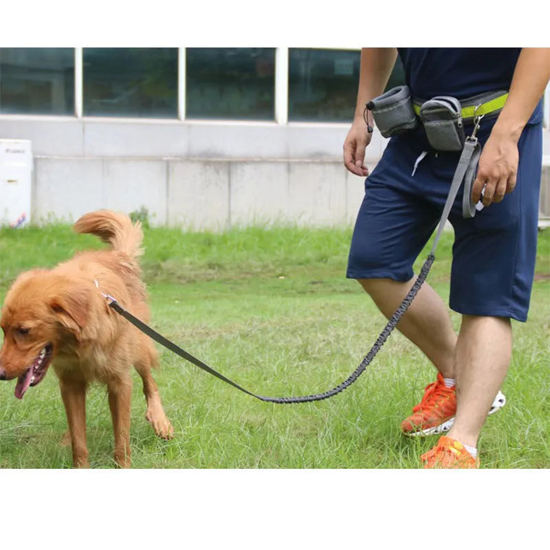 Adjustable hands free dog leash set with gray nylon retractable rope and waist bag on a grass field