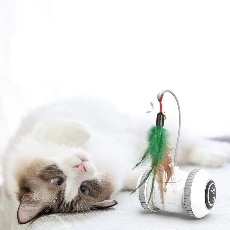 Interactive cat toy with interchangeable heads automatic robotic toy with feather accessory in white and grey ABS plastic