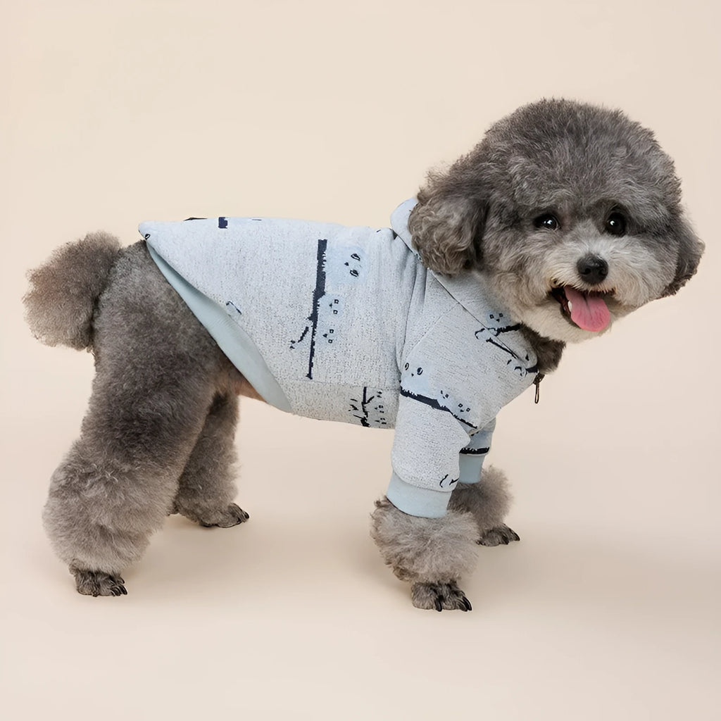 Casual blue cotton dog sweater with back zipper on a small dog, size S to XXL available