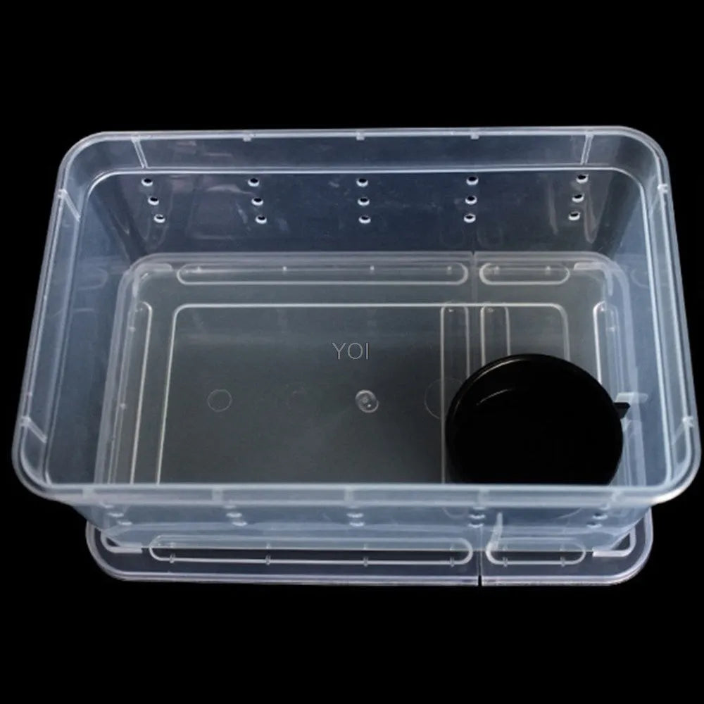 Plastic transparent reptile feeding box 19x12.5x7.5cm for reptile and amphibian transport and breeding