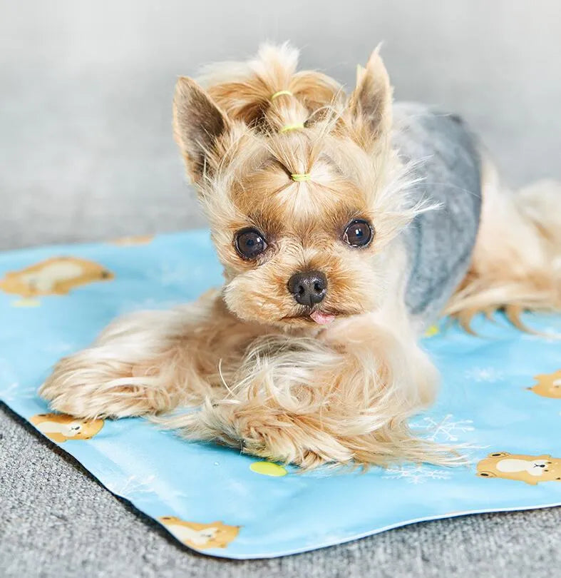 Grey pet ice mat 40x30cm with soft ice gel filling for small kittens and puppies