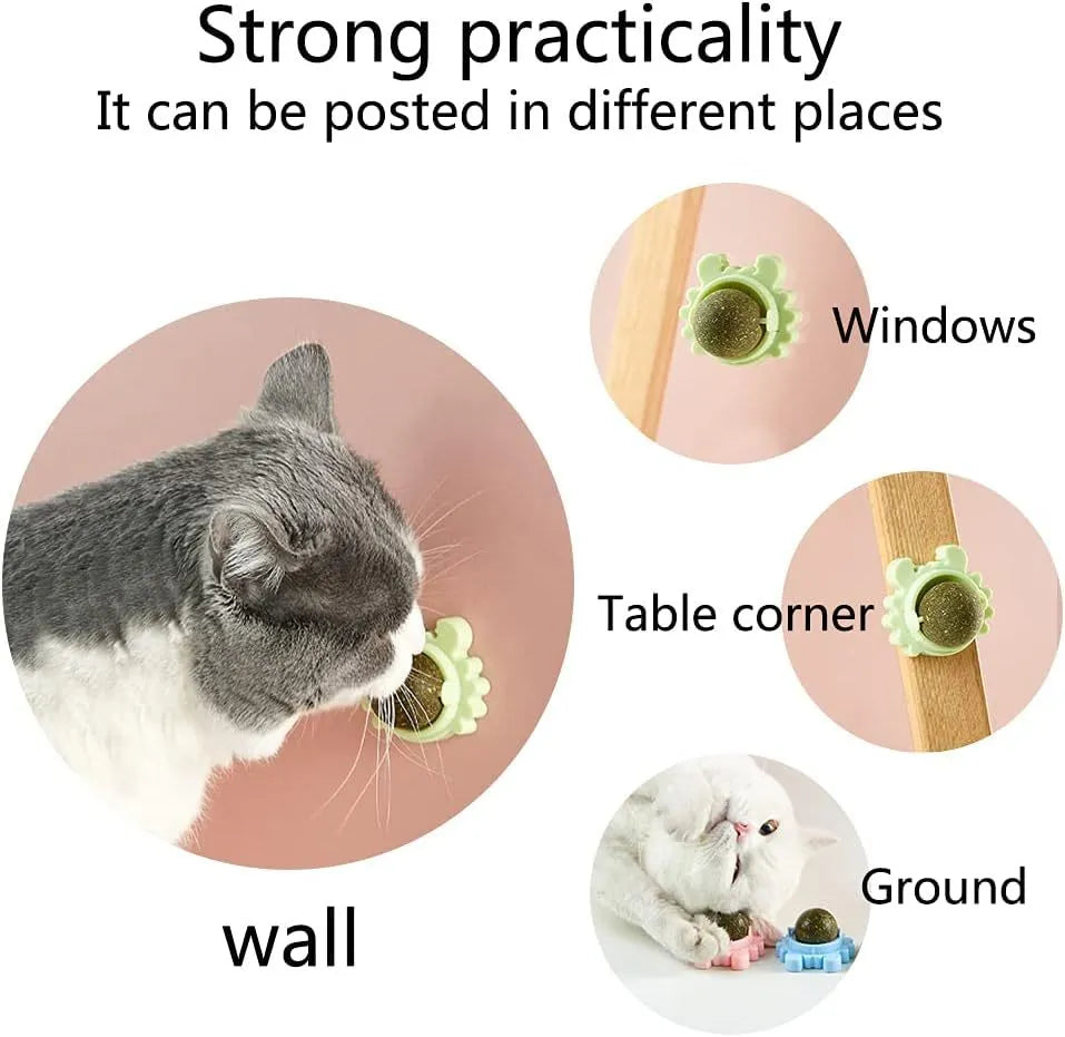 Catnip wall ball piece toy in blue with three removable natural catnip balls attached to a smooth wall