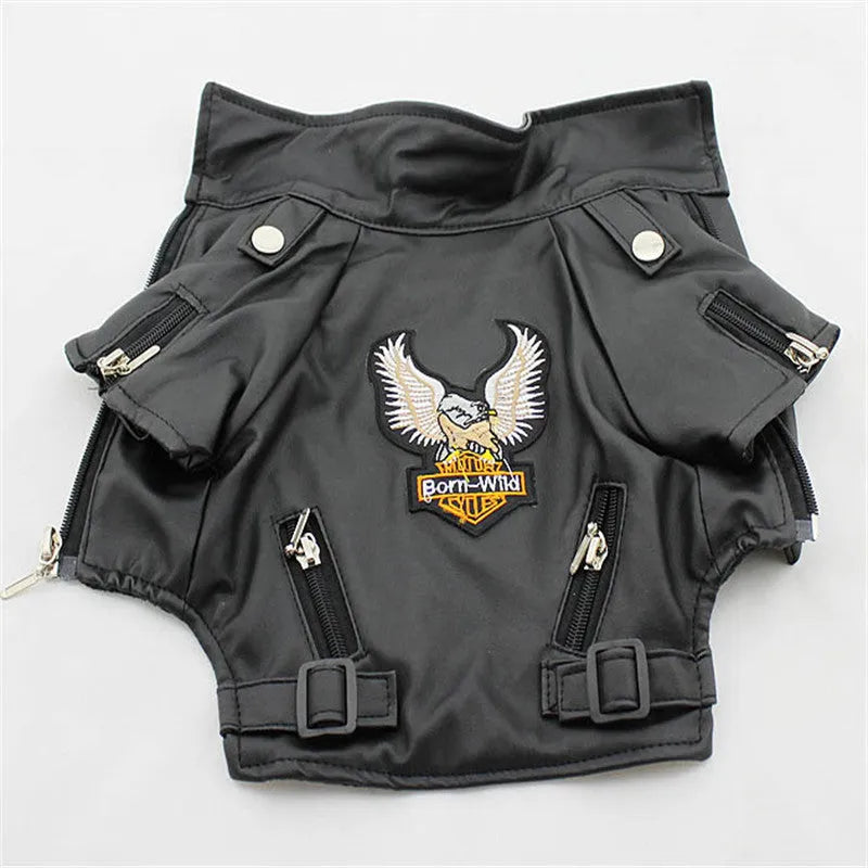 Small dog wearing a chocolate black faux leather jacket with embroidered eagle sticker on back