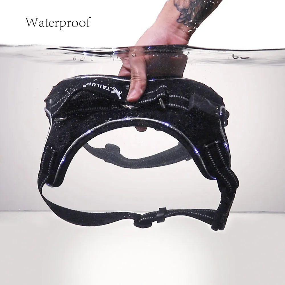 LED dog collar in 1000D Oxford with reflective strips, waterproof build, control handle, and 5 sizes