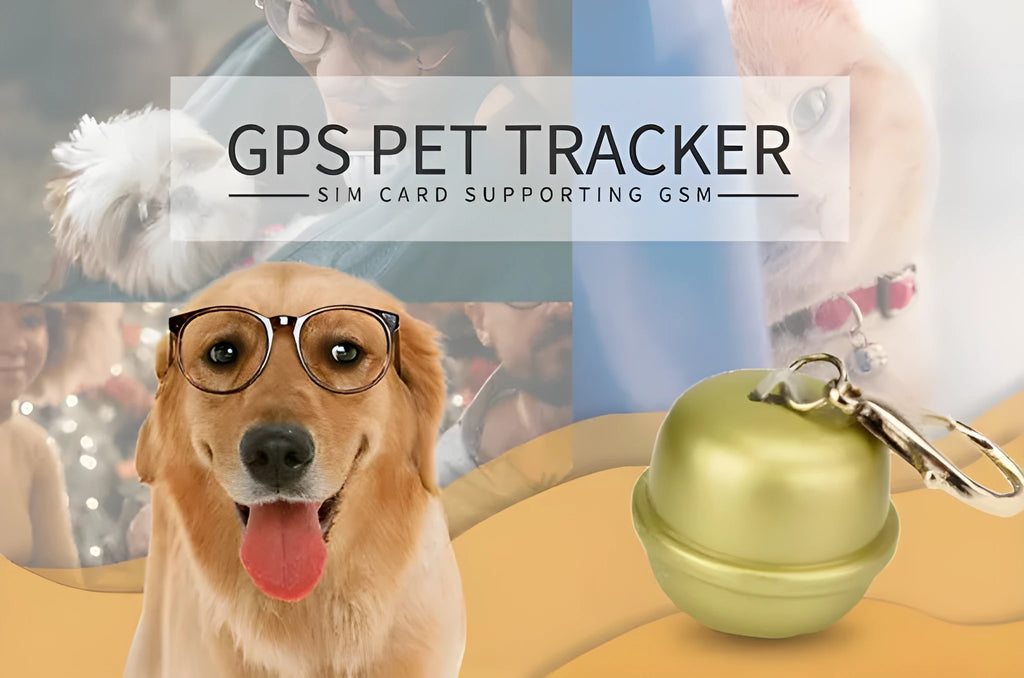 A Black GPS tracker unit attached to an adjustable nylon dog collar on a table.