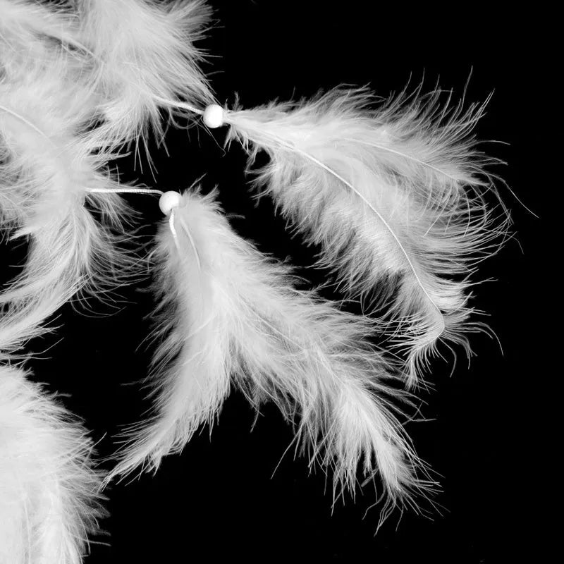 White European-style feather decoration 11cm on a white background