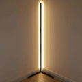 Nordic RGB corner floor lamp with aluminium shade, PVC body, remote control, 1.42m height, black finish against a light wall