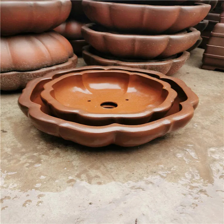 Small red purple sand round flower pot 35-40cm on desktop with begonia tree pile