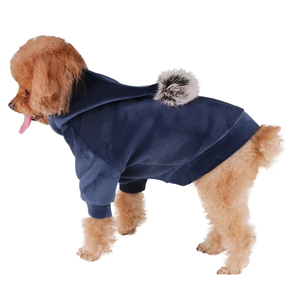 Blue hot dog dog costume on pet with grey background, available in sizes S to XXL