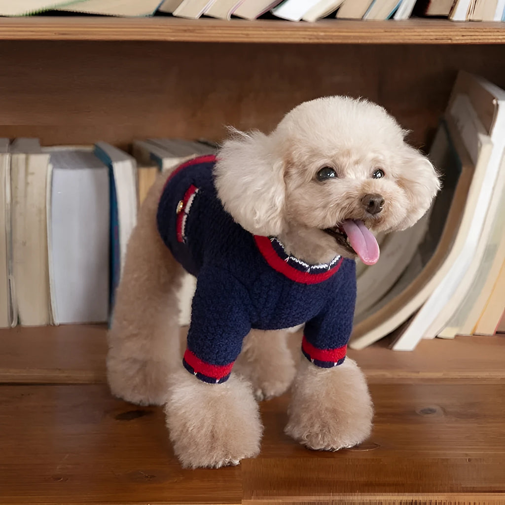 Blue Classic Princess style Wool cardigan sweater for a dog, showing cardigan opening and soft knit.