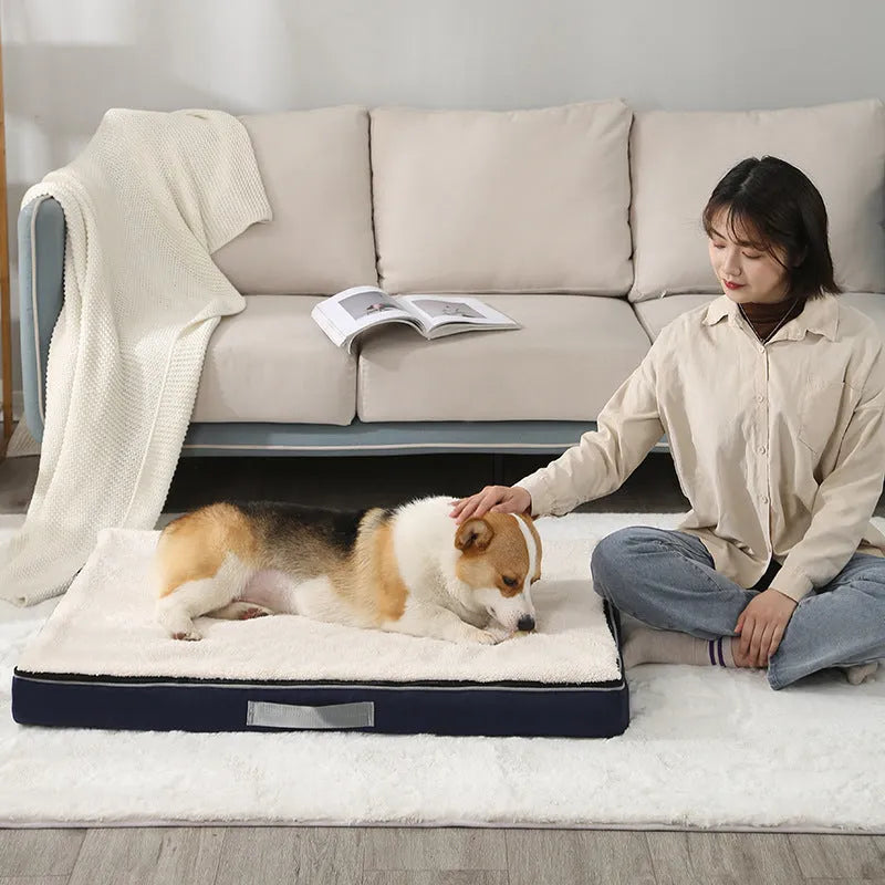 Brown removable sponge dog mat showing size and textured surface.