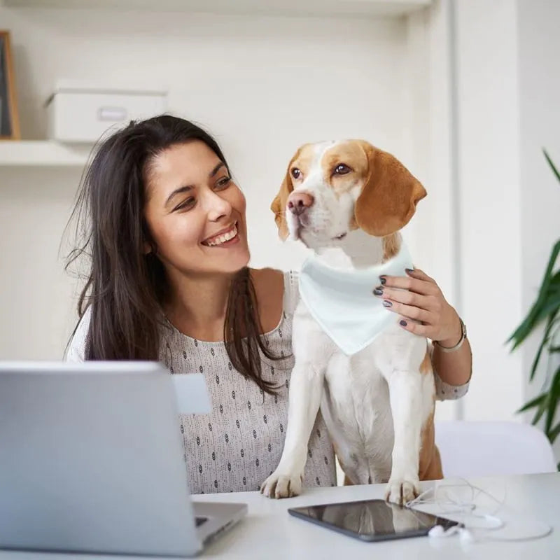 White polyester dog scarf blank ready for thermal transfer customisation in four sizes