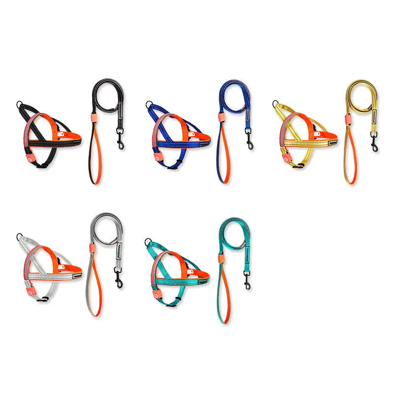 LED dog leash in nylon for medium dogs, colour as shown, with built-in light