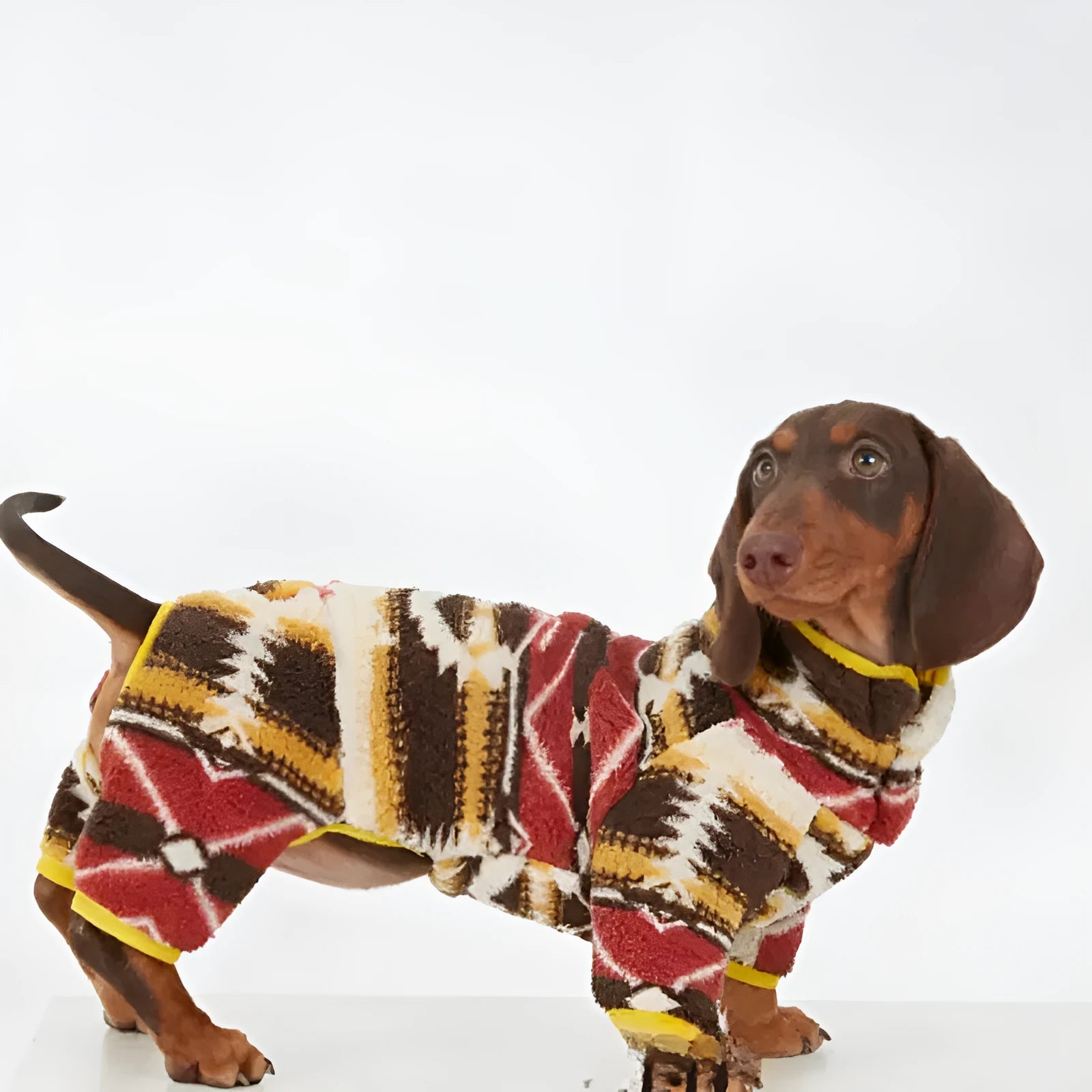 Thick four-legged dog clothing with diamond pattern in red for autumn and winter, side view on a dog