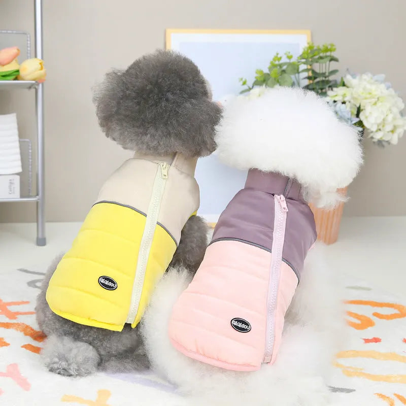 Dog wearing autumn winter cotton vest with zipper in blue colour