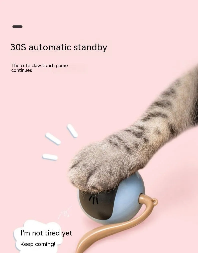 Electric cat toy ball in cloudy blue plastic on a light floor