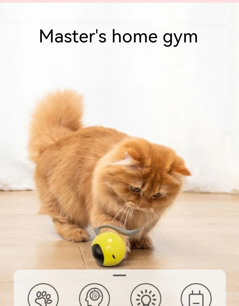 Electric cat toy ball in cloudy blue plastic on a light floor