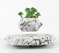 Marbling colour magnetic levitating plant pot floating with bonsai in modern home setting