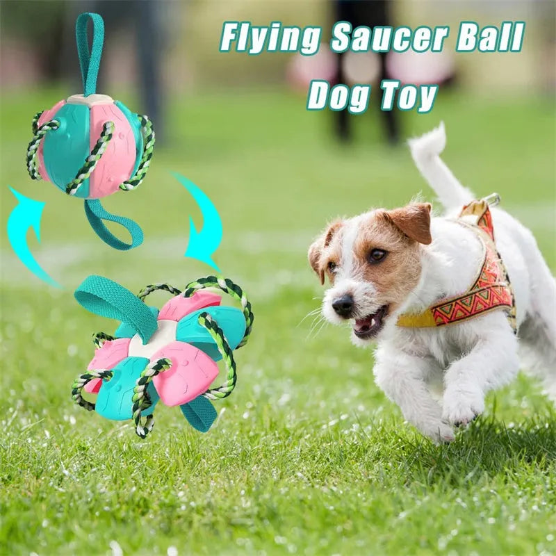 Interactive dog football soccer ball with tabs, flattened into frisbee shape, with woven nylon rope and cotton chewing rope, on grass.