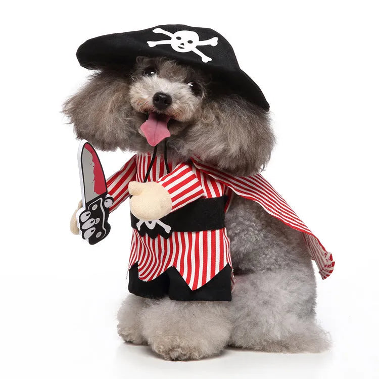 European and American style polyester pet costume in raccoon colour on a small dog