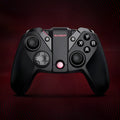 Black Gaishi wired USB Type-C game controller with programmable rear buttons on ergonomic ABS shell.