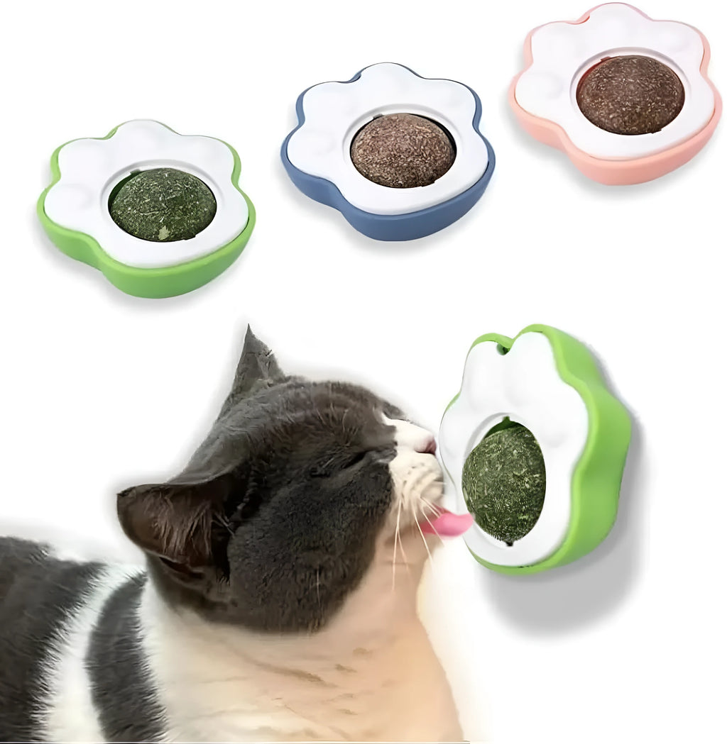 Small catnip balls in blue, green, pink colours for kitten dental chew toys and interactive play