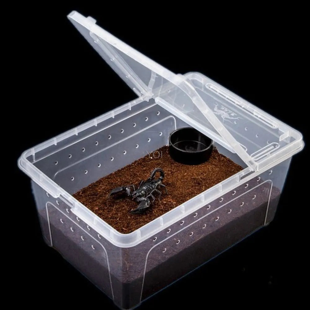 Plastic transparent reptile feeding box 19x12.5x7.5cm for reptile and amphibian transport and breeding