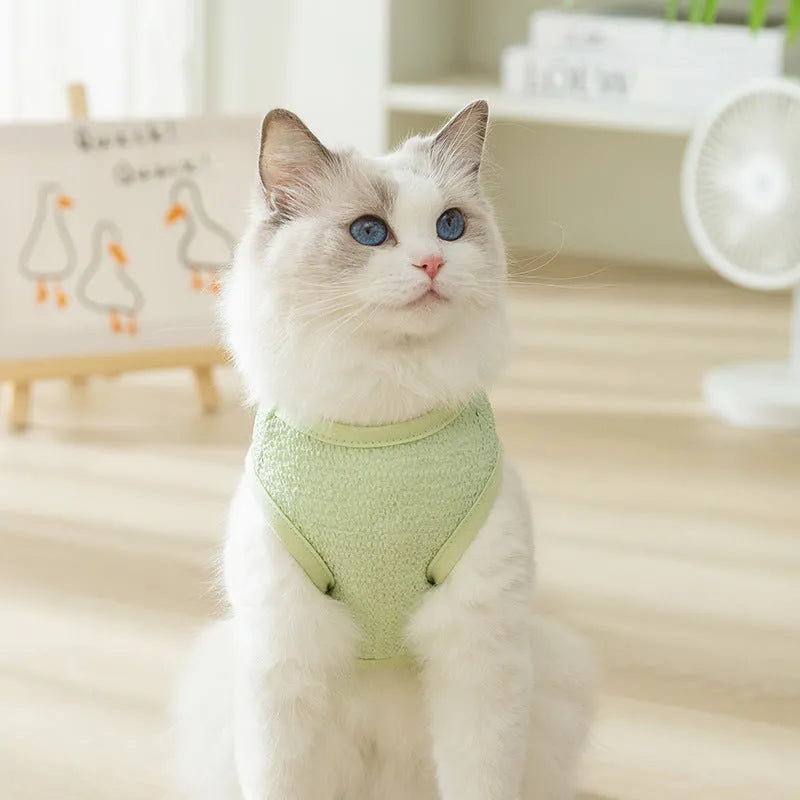 Cat clothes with bear patch in hollowed-out knitted fabric, available in blue green yellow colours