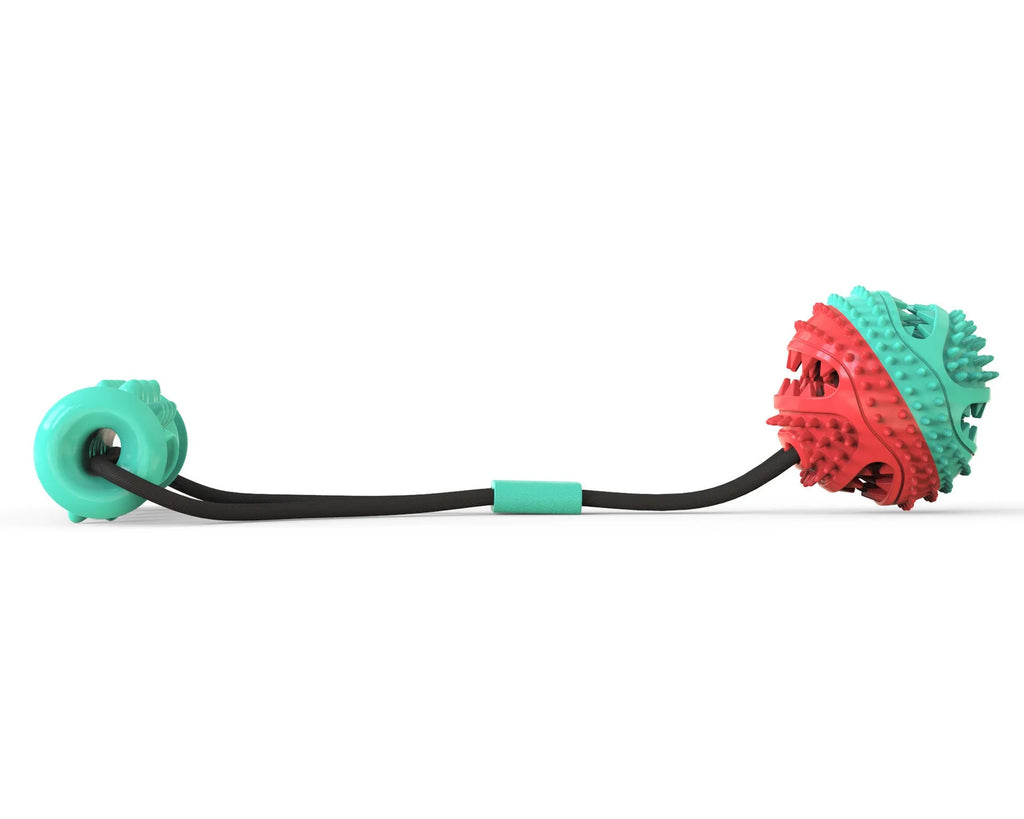 Pet toy pull rope training ball with 8.5cm diameter ball and 12cm molar stick for dogs