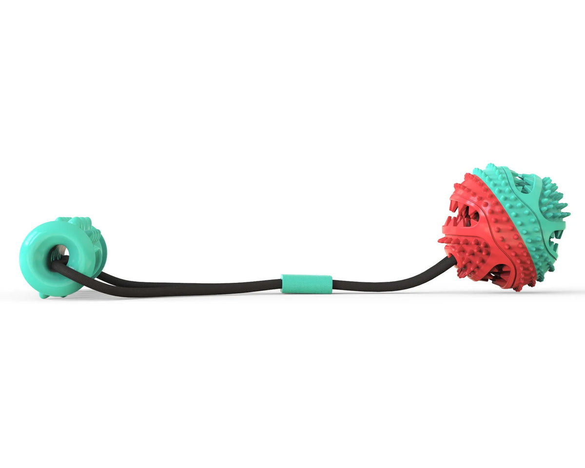 Pet toy pull rope training ball with 8.5cm diameter ball and 12cm molar stick for dogs
