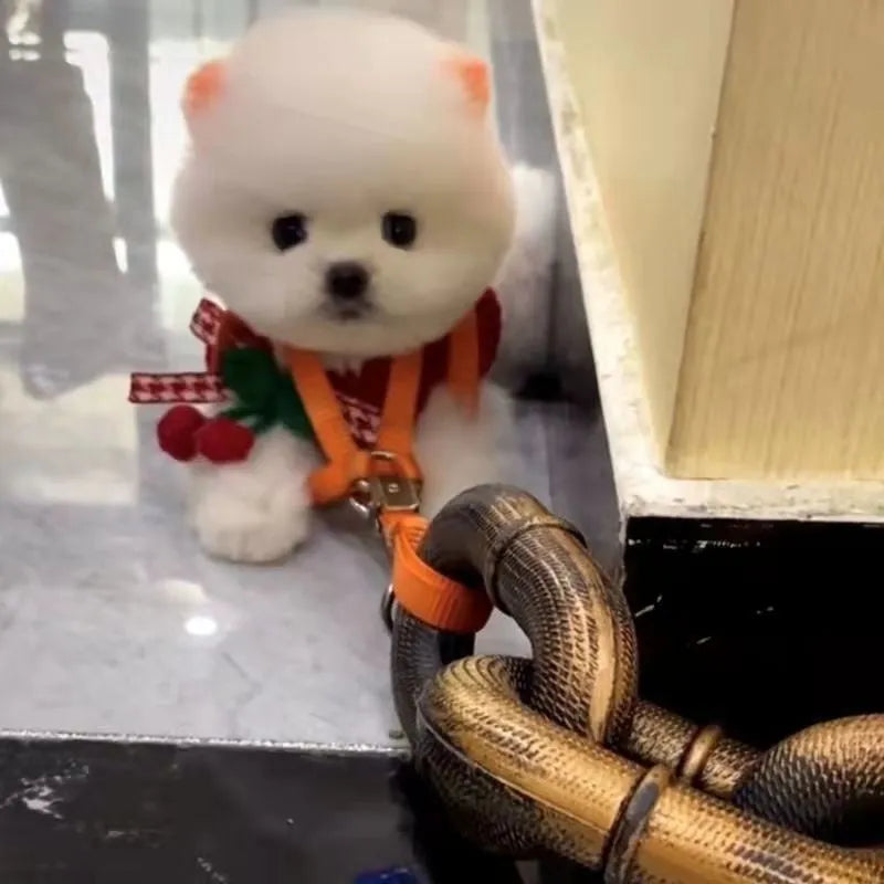 Imitation rough rope dog leash prop in antique silver colour for video and photography.