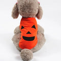 Orange Halloween pumpkin pet shirt with two face style options, for cats and small to medium dogs, sizes XS to XXL