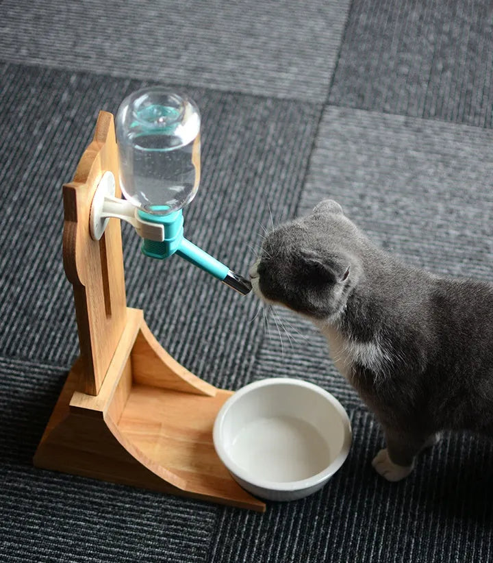 Cat drinking water dispenser with bamboo wood holder and 300ml water container in grey, green, and pink