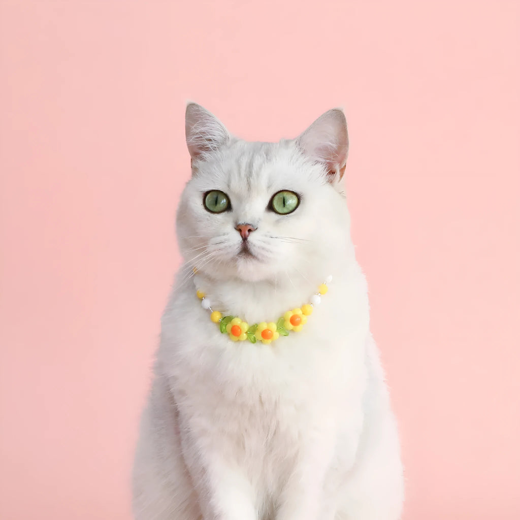 Colourful plastic pearl necklace for small pets on a white background, showing peach, rainbow, and small flower bead design options.
