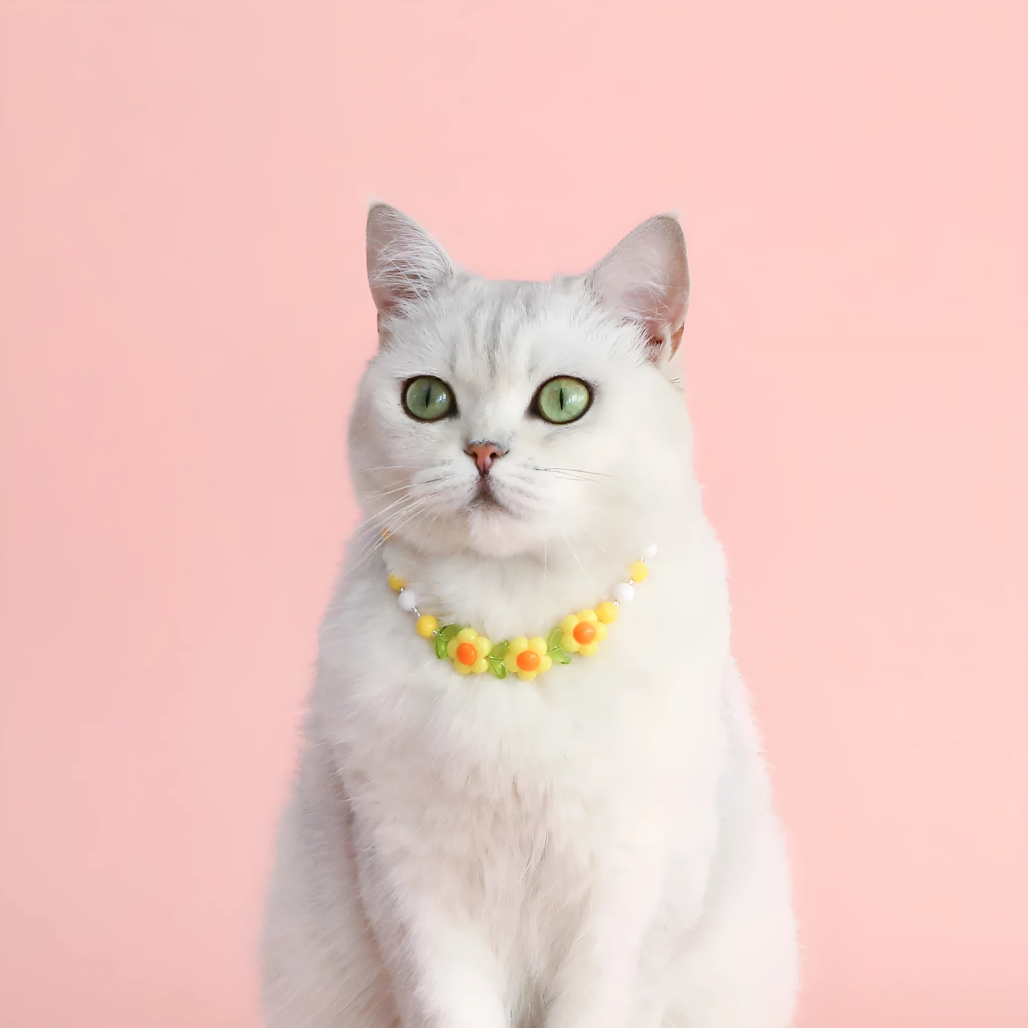 Colourful plastic pearl necklace for small pets on a white background, showing peach, rainbow, and small flower bead design options.