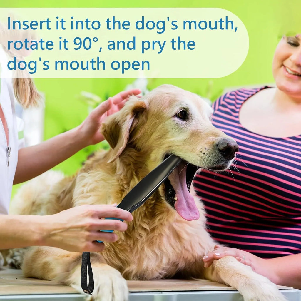 Blue-handled nylon dog bite training stick measuring 35cm in length for small and medium breeds.